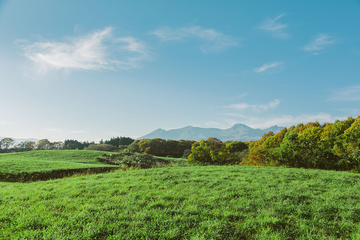 那須高原の風景
