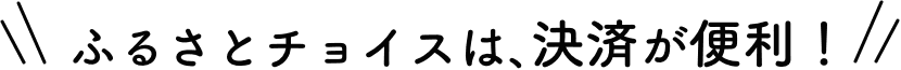 ふるさとチョイスは、決済が便利！