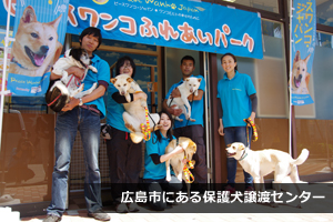 広島市にある保護犬譲渡センター