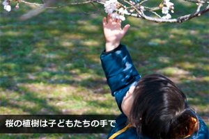桜の植樹は子どもたちの手で