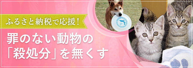 ふるさと納税で罪のない動物たちの殺処分を無くす活動を応援して「人と動物の共生する日本」を実現したい！