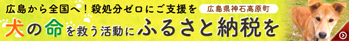 ピースワンコ・ジャパンの活動にご協力ください。