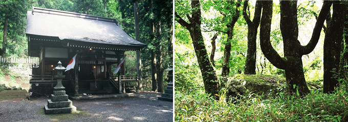 比婆山と、熊野神社などの、神聖な雰囲気の写真