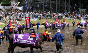 塩原の大山供養田植