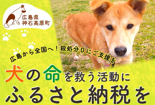 犬の殺処分ゼロ